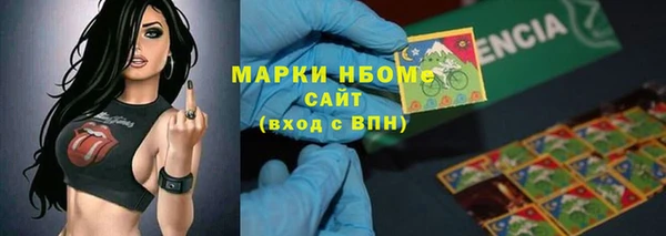 прущие грибы Алзамай