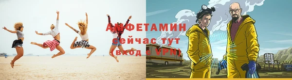 прущие грибы Алзамай