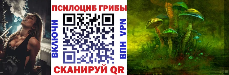 Галлюциногенные грибы Psilocybine cubensis где купить наркоту Куровское
