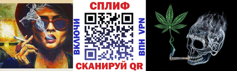 МАРИХУАНА сатива  Куровское 